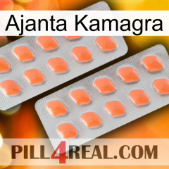 Ajanta Kamagra 27